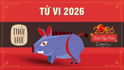 Tử vi tuổi Hợi 2026: Cuộc chiến sinh tồn trong giông bão Tam Tai, CÁT - HUNG biến động khôn lường!