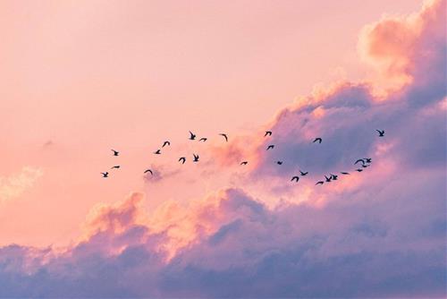 Tử vi tuần mới của 12 cung hoàng đạo 8-14/9/2025: Cự Giải bất lợi, Song Tử có tiền