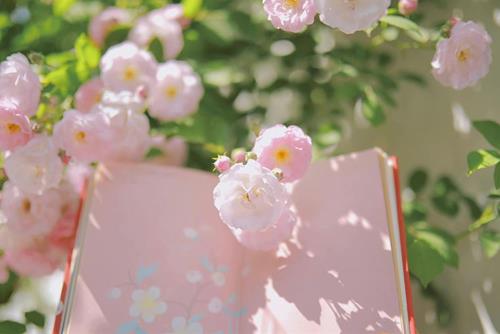 Tử vi thứ 2 ngày 8/9/2025 của 12 cung hoàng đạo: Nhân Mã u sầu