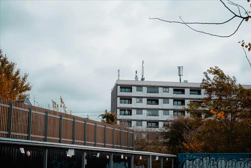 Tử vi thứ 7 ngày 24/1/2026 của 12 con giáp: Tị uy nghiêm, Dậu tổn hại