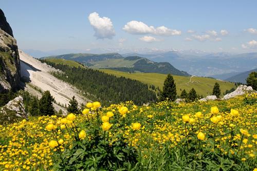 Tử vi tuần mới của 12 cung hoàng đạo 2-8/2/2026: Xử Nữ can đảm, Bảo Bình nổi bật