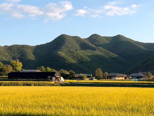 Tử vi tuần mới của 12 cung hoàng đạo 19-25/1/2026: Xử Nữ thực tế, Cự Giải lạc quan