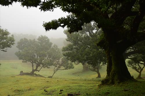 Tử vi Chủ Nhật ngày 11/1/2026 của 12 cung hoàng đạo: Xử Nữ sáng tạo