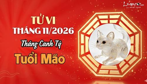 Tử vi tháng 11/2026 tuổi Mão âm lịch: Vận trình đan xen giữa thử thách và cơ hội