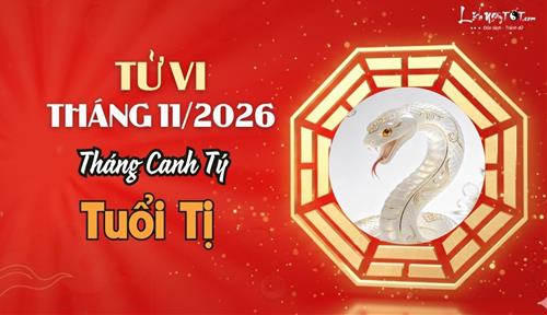 Tử vi tháng 11/2026 tuổi Tị âm lịch: Vận khí hanh thông, có những bước tiến đáng kể