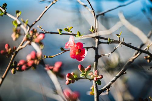 Tử vi tuần mới của 12 cung hoàng đạo (23/2 - 1/3/2026): Song Tử bối rối, Song Ngư bình yên