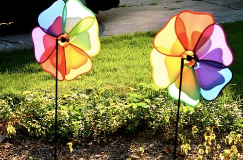 Tử vi thứ 7 ngày 28/2/2026 của 12 cung hoàng đạo: Sư Tử trìu mến, Nhân Mã khổ