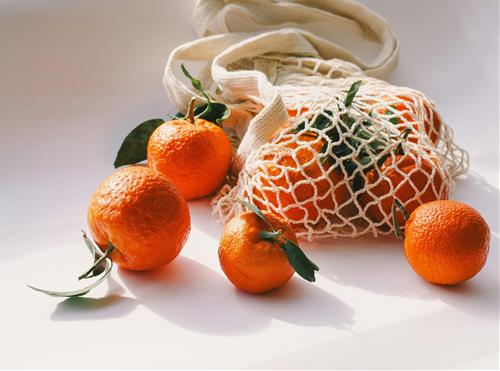 Tử vi tuần mới từ 16-22/3/2026 của 12 con giáp: Sửu thu hút, Ngọ ốm đau nhiều