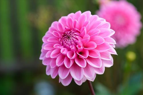 Tử vi thứ 6 ngày 27/3/2026 của 12 con giáp: Sửu tài hoa, Dần tháo vát