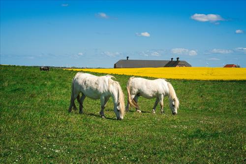 Tử vi tuần mới của 12 cung hoàng đạo (23 – 29/3): Song Tử bận rộn, Ma Kết cần kiên nhẫn