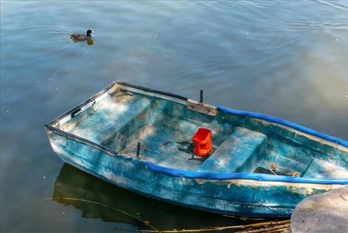 Tử vi thứ 7 ngày 4/4/2026 của 12 con giáp: Thìn quyết đoán, Tuất phô trương