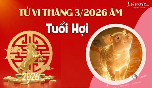 Tử vi tháng 3/2026 tuổi Hợi âm lịch: Có thể vỡ mộng vì tham vọng quá cao