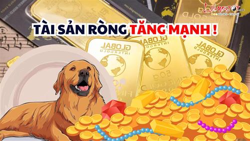 Càng về cuối tháng Giêng 2026 tài sản ròng càng tăng không kiểm soát, 4 con giáp tưng bừng CHỐT LỜI!