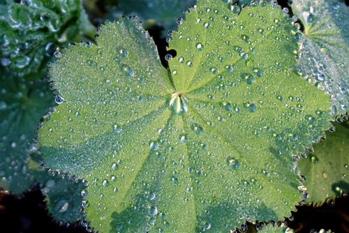 Tử vi thứ 4 ngày 18/3/2026 của 12 con giáp: Tý khó tính, Sửu vô tư