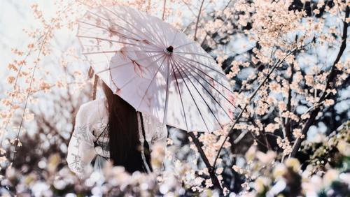 Tử vi thứ 2 ngày 13/4/2026 của 12 con giáp: Thân có lộc, Tý khó khăn