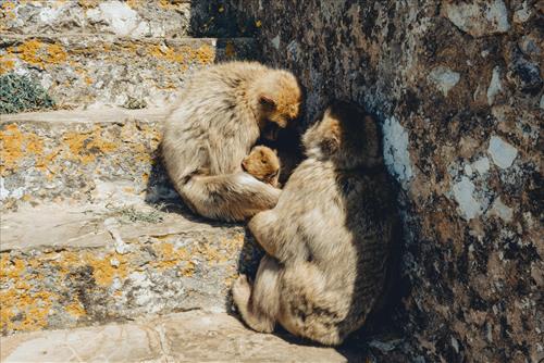 Tử vi thứ 4 ngày 29/4/2026 của 12 con giáp: Tý gặp áp lực, Ngọ thấu hiểu