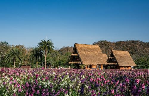 Tử vi Chủ nhật ngày 19/4/2026 của 12 cung hoàng đạo: Xử Nữ suy ngẫm, Kim Ngưu tự tin