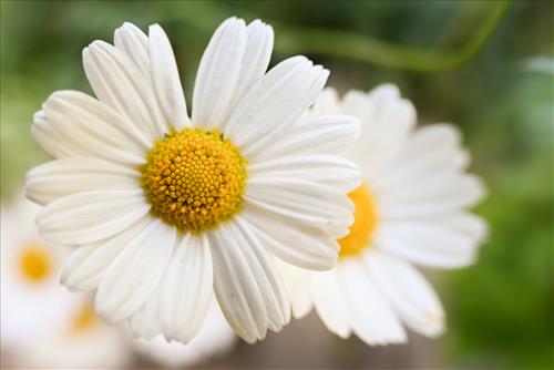 Tử vi thứ 3 ngày 14/4/2026 của 12 con giáp: Tý nhiều tiền, Ngọ giỏi giang