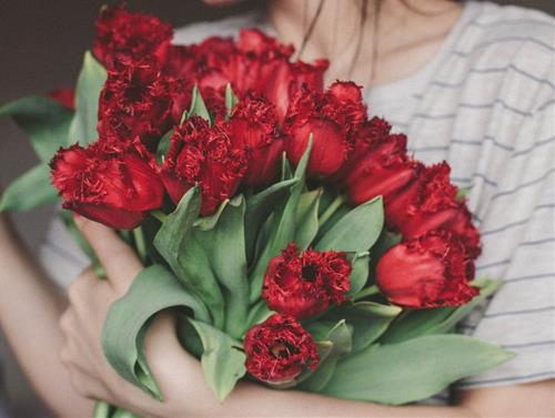 Tử vi thứ 2 ngày 11/5/2026 của 12 con giáp: Sửu rủng rỉnh, Dần hụt hẫng
