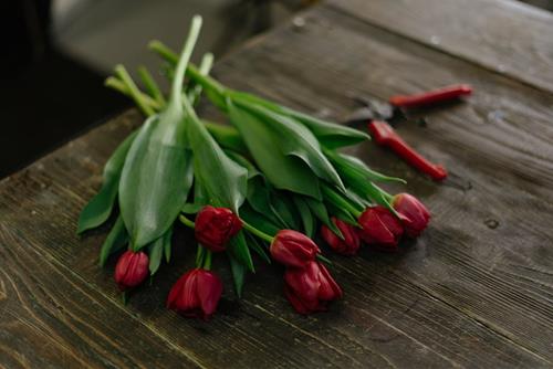 Tử vi tuần mới của 12 cung hoàng đạo (27/4 – 3/5): Song Tử có tiền, Thiên Bình linh hoạt