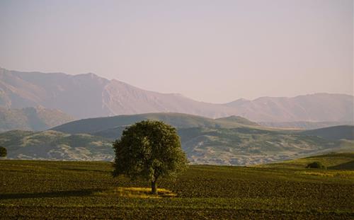 Tử vi thứ 7 ngày 25/4/2026 của 12 con giáp: Tị trì hoãn, Tý may mắn