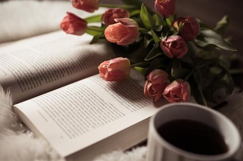 Tử vi tuần mới của 12 con giáp 8-14/6/2026: Hợi tốn tiền, Dậu thuận lợi