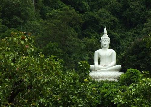 PHẬT dạy ở đời đừng THAM lam 2 thứ này kẻo hủy hoại cả một đời người