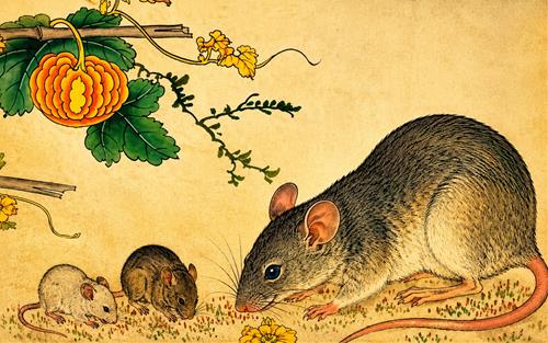 Cảnh báo 4 con giáp dính HẠN liên tiếp trong tuần này (15-21/6): TIỀN mất, TÌNH cũng tan