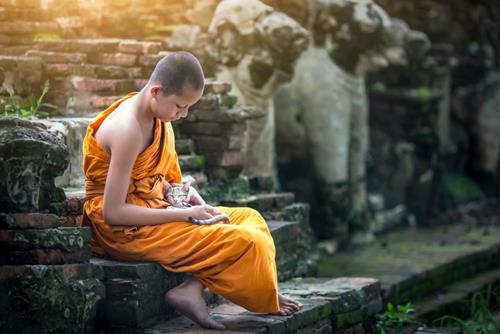 Muốn TU tập tốt, không thể bỏ qua 3 lời khuyên này, áp dụng cho tất cả mọi người!