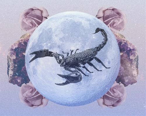 Cảnh báo khẩn cấp cho Hổ Cáp: Tai họa đáng ngại nhất trong tháng 6/2026 đang ẩn giấu ngay bên cạnh bạn!