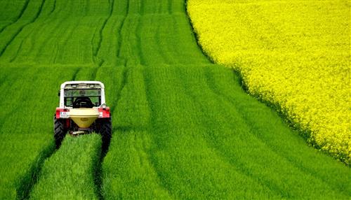 Tử vi Chủ nhật ngày 19/7/2026 của 12 con giáp: Mùi vui vẻ, Mão mất ngủ