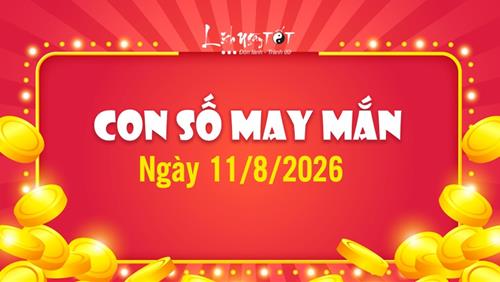 Bốc ra con số may mắn hôm nay 11/8/2026 đủ các mệnh Kim Mộc Thủy Hỏa Thổ