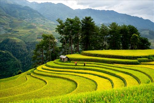Tử vi Thứ 2 ngày 7/9/2026 của 12 cung hoàng đạo: Sư Tử dễ chịu, Hổ Cáp nhạy cảm