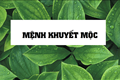 Mệnh khuyết Mộc là gì? Cách cải vận cho người mệnh khuyết Mộc theo phong thủy