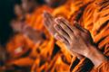 Bài sám hối hàng ngày chuẩn nhất, tụng mỗi ngày cho Tâm bình an, Trí thông tuệ