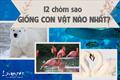 Phát hiện thú vị khi 12 chòm sao có đặc điểm tính cách giống hệt những con vật này