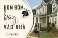 ĐOM ĐÓM BAY VÀO NHÀ là điềm gì, tốt hay xấu, nên làm gì để đón lành tránh dữ?
