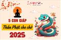 Phật độ người hữu duyên: 5 con giáp được gia trì từ Thần Phật năm 2025, phú quý theo chân, viên mãn trường thọ