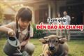 3 con giáp này, nếu là con bạn, chúng đến để BÁO ÂN cha mẹ: Lớn lên thành TÀI, cha mẹ thảnh thơi