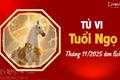 Tử vi tháng 11/2025 tuổi Ngọ âm lịch: Nhiều biến động, cát hung song hành