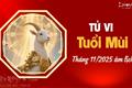 Tử vi tháng 11/2025 tuổi Mùi âm lịch: Giai đoạn thử thách – bản lĩnh khẳng định từ sự kiên trì