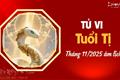 Tử vi tháng 11/2025 tuổi Tị âm lịch: Giai đoạn nhẹ nhàng, thuận buồm xuôi gió