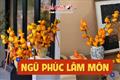 Tết Bính Ngọ 2026: Đừng chỉ chưng đào quất, sắm ngay chậu cây cảnh có quả VÀNG óng này để NGŨ PHÚC lâm môn, tiền vào ào ạt