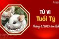 Tử vi tháng 6/2025 tuổi Tý âm lịch: Tiềm ẩn nhiều rạn nứt và thị phi, tiền của lúc có lúc không