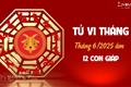 Tử vi tháng 6/2025 của 12 con giáp âm lịch: Ai thăng hoa rực rỡ, ai khó khăn chồng chất?