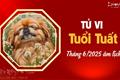 Tử vi tháng 6/2025 tuổi Tuất âm lịch: Vận khí sa sút, nhiều khó khăn chồng chất