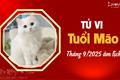 Tử vi tháng 9/2025 tuổi Mão âm lịch: Xuôi chèo mát mái, tiềm ẩn sự bứt phá