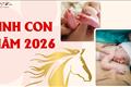 SINH CON NĂM 2026 BÍNH NGỌ - Tuổi hợp, ngày đẹp, giờ lành, tháng tốt đón bé tuổi Ngọ