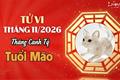 Tử vi tháng 11/2026 tuổi Mão âm lịch: Vận trình đan xen giữa thử thách và cơ hội