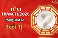 Tử vi tháng 11/2026 tuổi Tị âm lịch: Vận khí hanh thông, có những bước tiến đáng kể